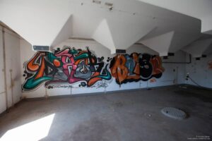 IMG_3440-1024x683